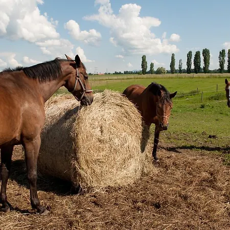 Farma Ptyrov Pensjonat 3*