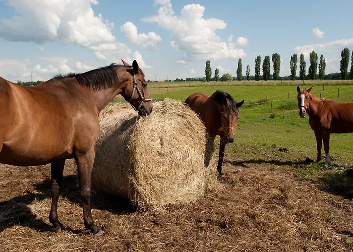Farma Ptyrov بيت ضيافة 3*